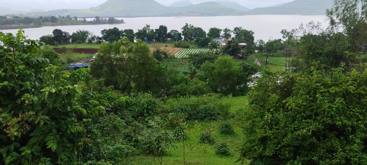 Garden, igatpuri  3 Acre Plot In Igatpuri Nashik 8079734