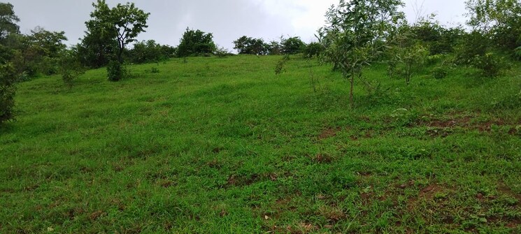 undefined, igatpuri  3 Acre Plot In Igatpuri Nashik 8079734