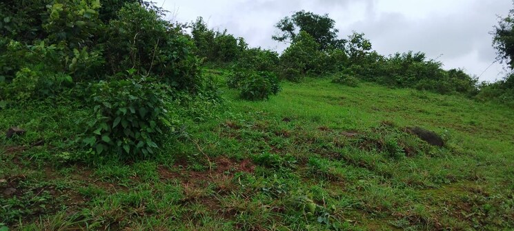 undefined, igatpuri  3 Acre Plot In Igatpuri Nashik 8079734