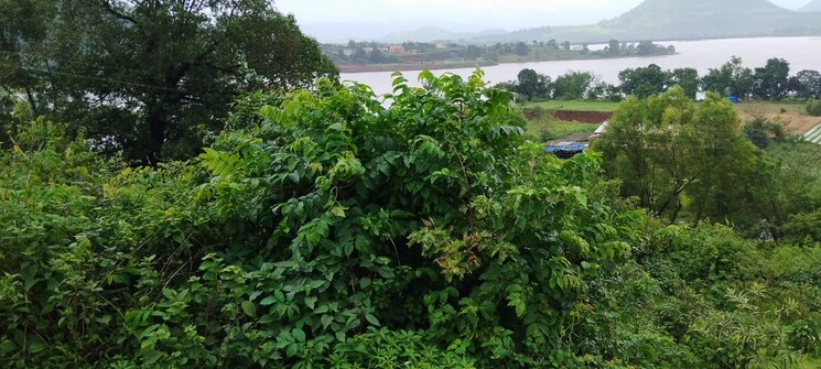 Garden, igatpuri  3 Acre Plot In Igatpuri Nashik 8079734