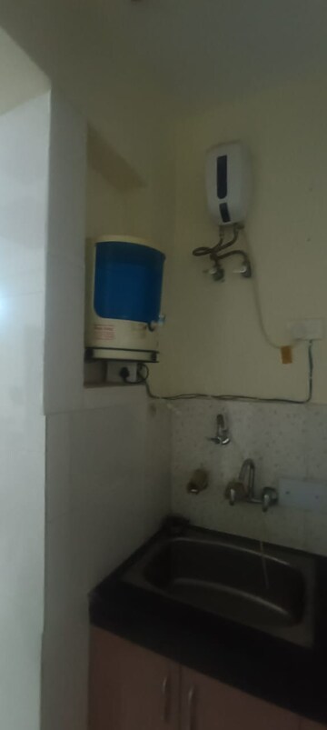 Bathroom in 3 BHK Apartment at Ashoka Group Housing Society, Sector 56 – for Rent