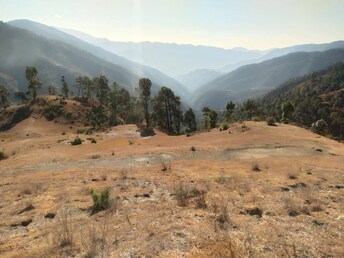 Commercial Land 90 Sq.Mt. For Resale in Chailly Shimla  8079756