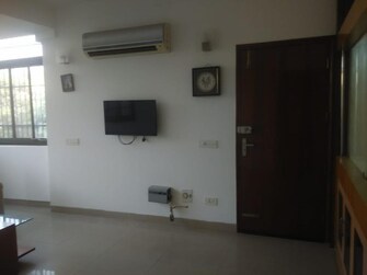 4 BHK Builder Floor For Rent in Ardee City Sector 52 Gurgaon  8077226