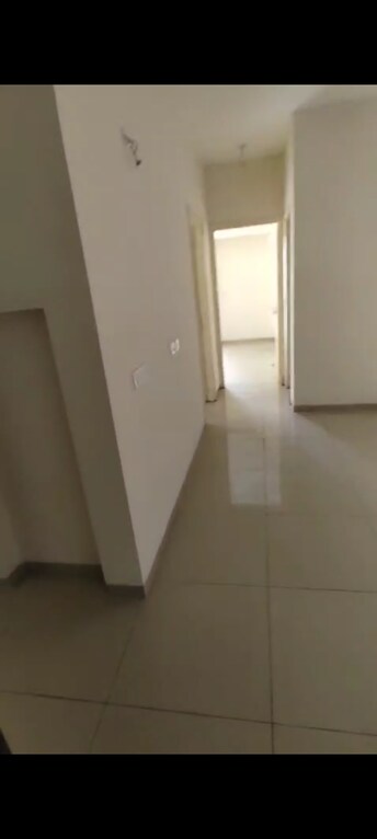 2 BHK Apartment For Rent in Wave Dream Homes Wave City Ghaziabad  8079994