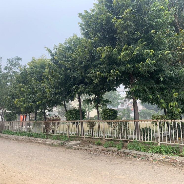 undefined, aditya-world-city  100 Sq.Yd. Plot In Shahpur Bamheta Ghaziabad 8080033