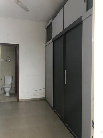 2 BHK Apartment For Rent in Geotech Pristine Avenue, Sector 16c Greater Noida