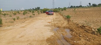 Plot For Resale in Jadcherla Hyderabad  8080121