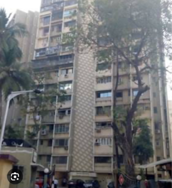 1 BHK Apartment For Rent in Paschim Apartments Agar Bazar Mumbai  8080168