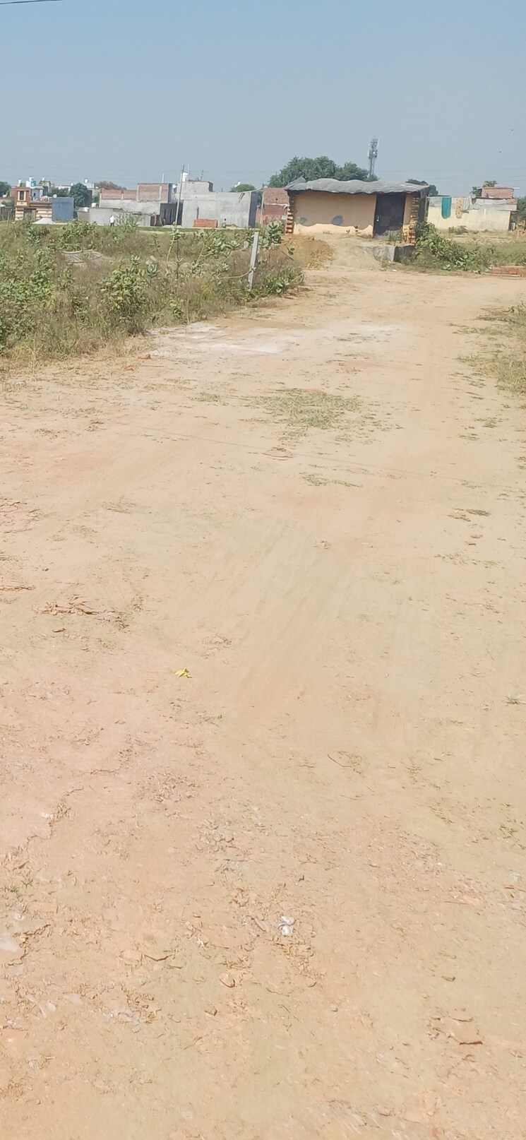 undefined, dheeraj nagar  136 Sq.Yd. Plot In Dheeraj Nagar Faridabad 8080556