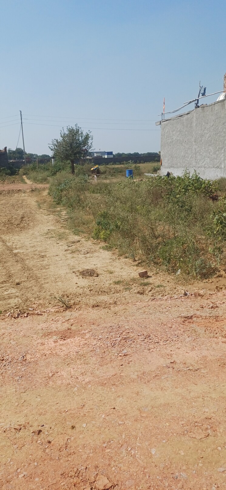 undefined, dheeraj nagar  136 Sq.Yd. Plot In Dheeraj Nagar Faridabad 8080556