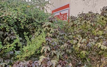 Plot For Sale in Bhel Sangam Colony
