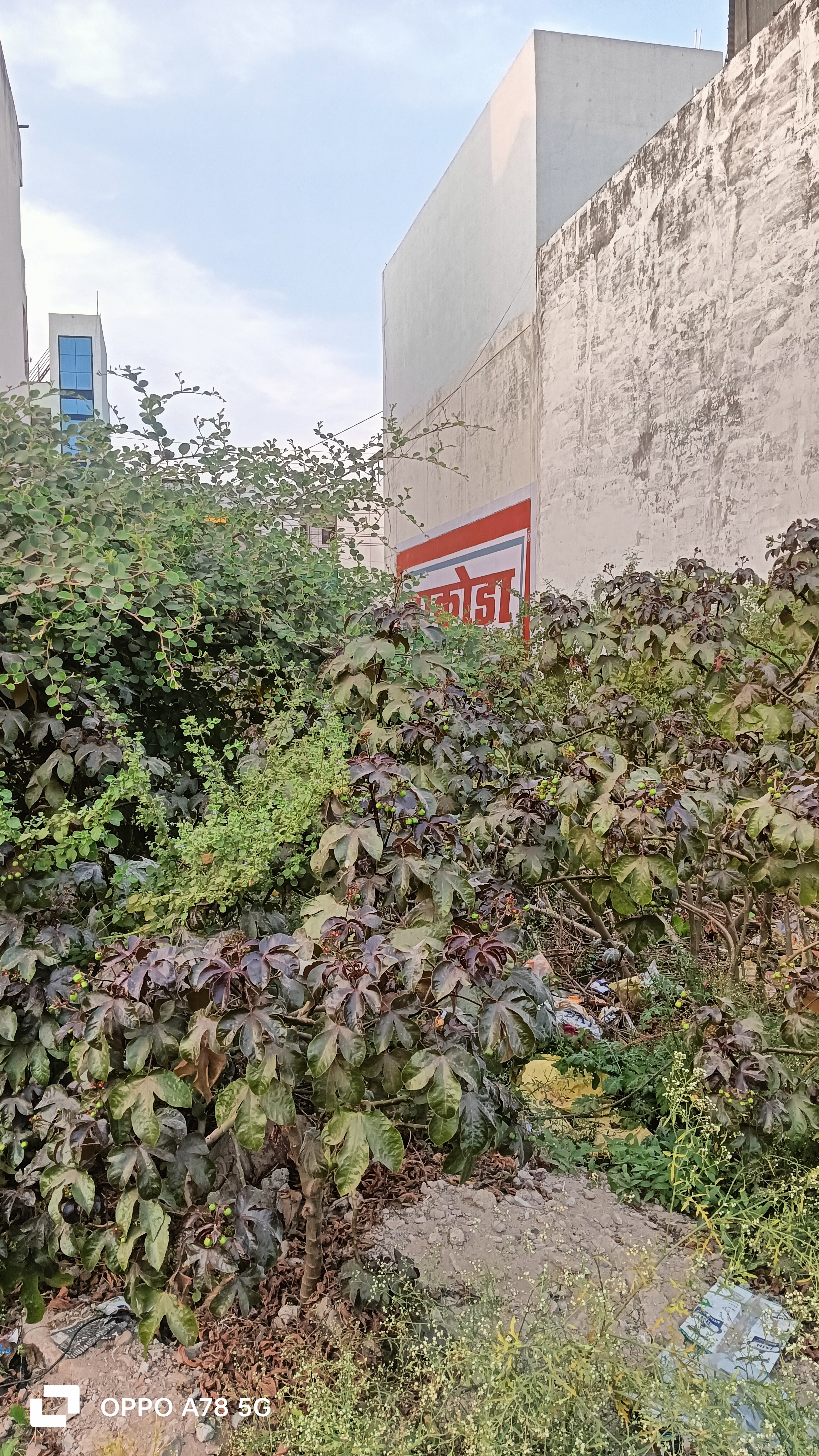 Plot For Sale in BHEL Sangam Colony