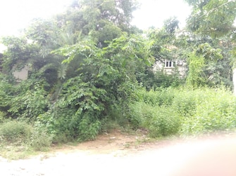 Plot For Resale in Turkapally Hyderabad  8080809