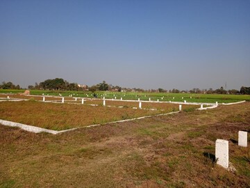  Plot For Sale in Ranjanpada