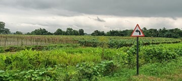 Plot Area in  Plot at Sonarpur – for Sale
