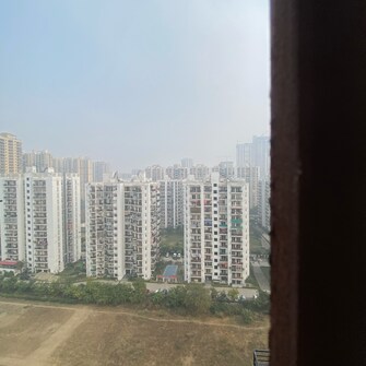 3 BHK Apartment For Rent in Aims Golf City Noida Central Noida  8081211