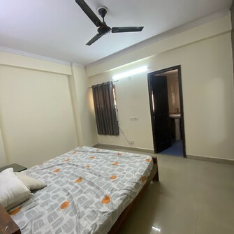 3 BHK Apartment For Rent in Aims Golf City Noida Central Noida  8081211