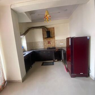 3 BHK Apartment For Rent in Aims Golf City Noida Central Noida  8081211