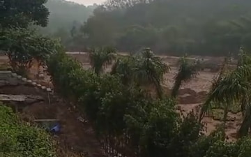 Plot Area in Plot at Chandigarh Airport – for Sale