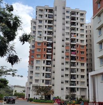 2 BHK Apartment For Resale in Prestige Ferns Residency Harlur Bangalore  8079016