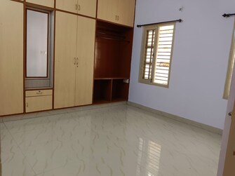 2 BHK Apartment For Rent in Ejipura Bangalore  8081485