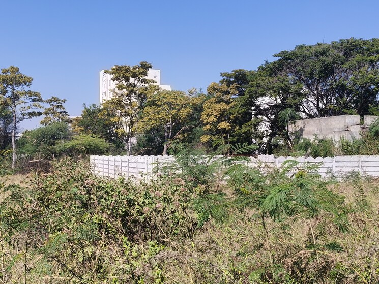 undefined, shamshabad  350 Sq.Yd. Plot In Shamshabad Hyderabad 8081698