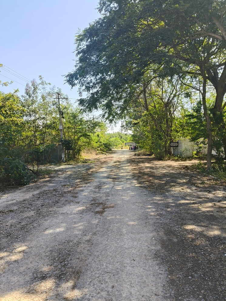 undefined, shamshabad  350 Sq.Yd. Plot In Shamshabad Hyderabad 8081698