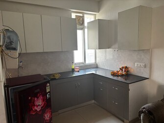 1 BHK Apartment For Rent in AVL 36 Gurgaon Sector 36 Gurgaon  8081723