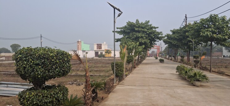 Garden, upsidc site b  100 Sq.Yd. Plot In Upsidc Site B Greater Noida 8081779
