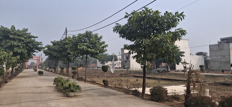 Exterior View, upsidc site b  100 Sq.Yd. Plot In Upsidc Site B Greater Noida 8081779