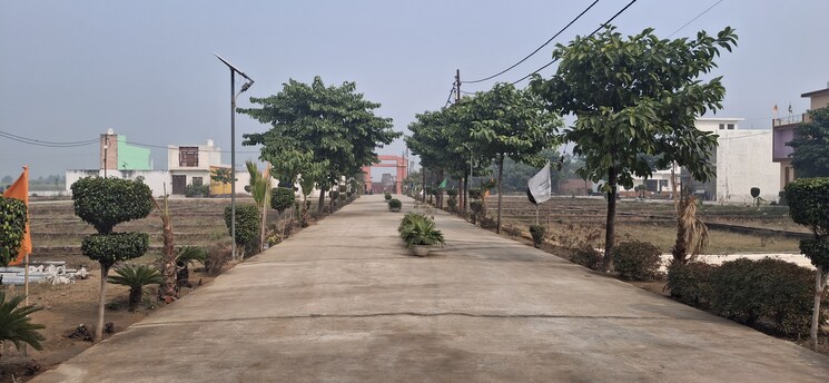 Garden, upsidc site b  110 Sq.Yd. Plot In Upsidc Site B Greater Noida 8081780