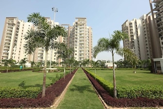 3 BHK Apartment For Rent in Motiaz Royal Citi Ambala Highway Zirakpur  8081845