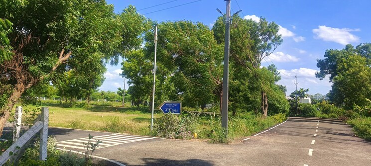 Garden, srinivasa nagar  1200 Sq.Ft. Plot In Srinivasa Nagar Trichy 8081868