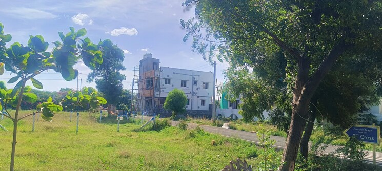 Garden, srinivasa nagar  1200 Sq.Ft. Plot In Srinivasa Nagar Trichy 8081868