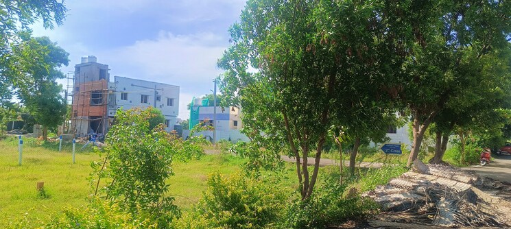 Garden, srinivasa nagar  1200 Sq.Ft. Plot In Srinivasa Nagar Trichy 8081868