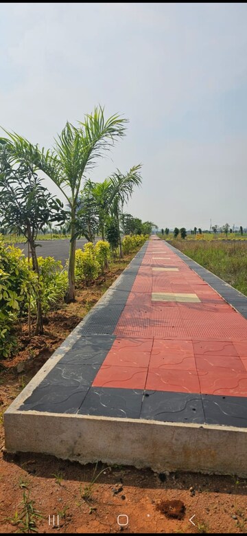  Plot – Exterior View View at Amaravathi - for Sale