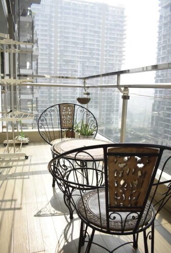 4 BHK Apartment For Rent in M3M Polo Suites Sector 65 Gurgaon  8081917