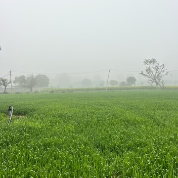 Plot Area in  Land at Sultanpur – for Sale