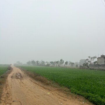 Plot Area in  Land at Sultanpur – for Sale