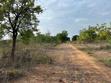 Plot Area in  Plot at Bhanur – for Sale