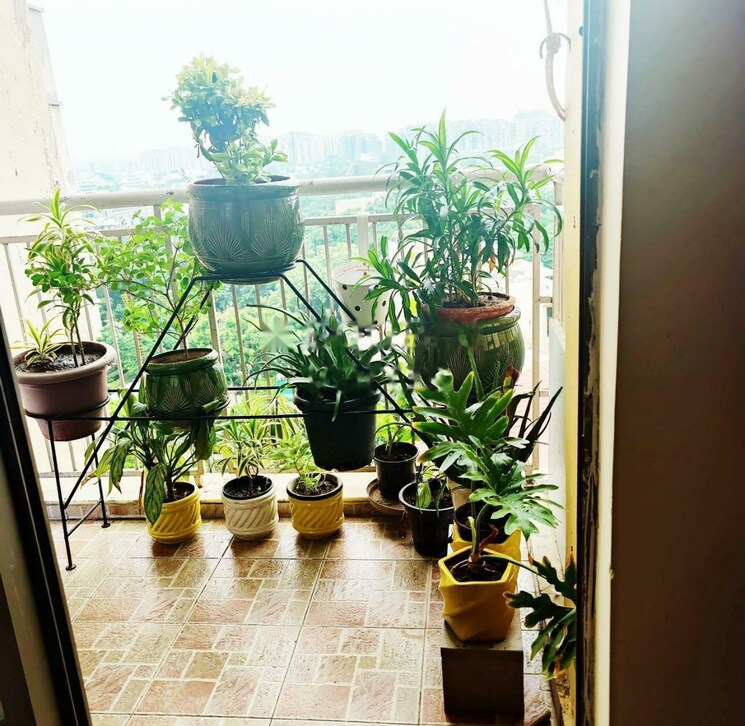 Balcony, tulip-violet 3 Bedroom 1184 Sq.Ft. Apartment In Sector 69 Gurgaon 8082311