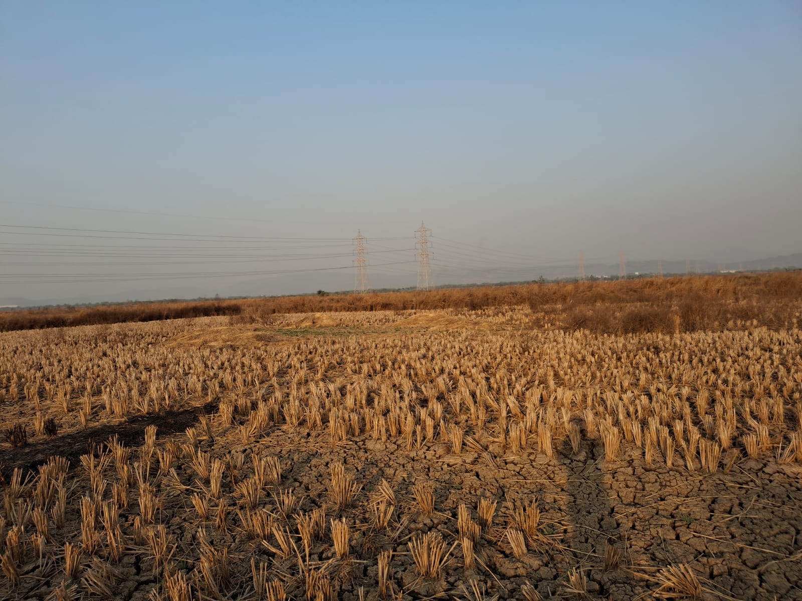 Plot For Sale in Khopta Township 