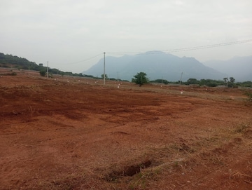 Plot For Resale in Vedasandur Dindigul  8082568