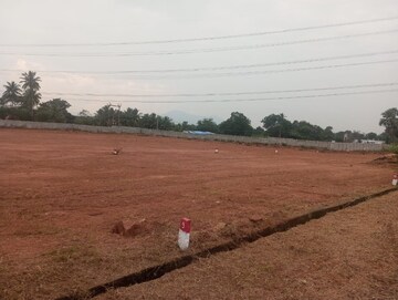 Plot Area in  Plot at Vedasandur – for Sale