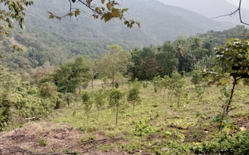Plot For Sale in Taliparamba