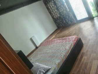 2 BHK Builder Floor For Rent in Kalindi Colony Delhi  8082877