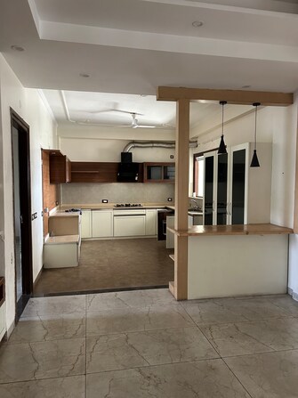 3 BHK Builder Floor For Rent in Phase 11 Mohali  8083070