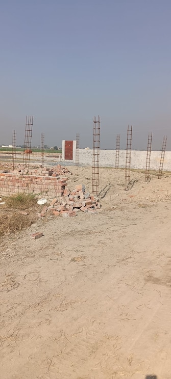 Plot For Resale in Bhopani Village Faridabad  8083161