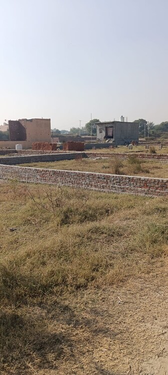 Plot For Resale in Bhopani Village Faridabad  8083161