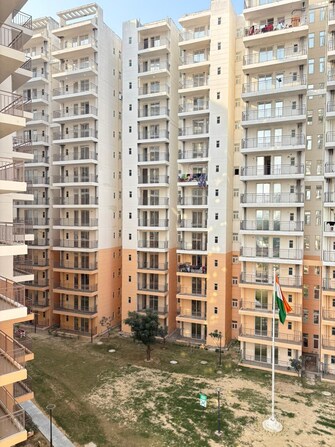 2 BHK Apartment For Rent in ROF Amaltas Sector 92 Gurgaon  8083211